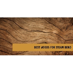 The-Top-5-Best-Woods-for-Steam-Bending