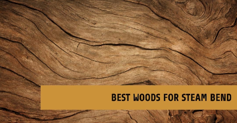 The-Top-5-Best-Woods-for-Steam-Bending