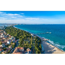 ТОП-10-Цветове-на-лято-2024