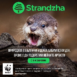 Виждал-ли-си-видра