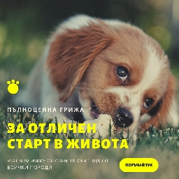 Хранителни-вещества-от-първа-необходимост-за-вашето-куче
