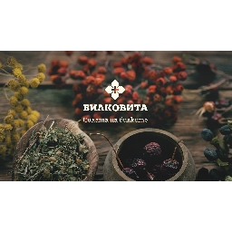 Билковита-Усети-силата-на-билките