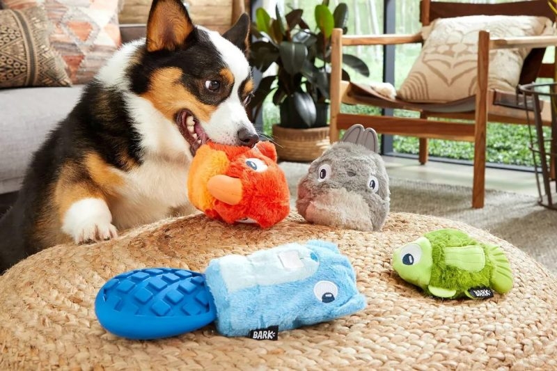 ИГРАЧКИТЕ-КЛЮЧЪТ-КЪМ-ЩАСТИЕТО-НА-КУЧЕТО