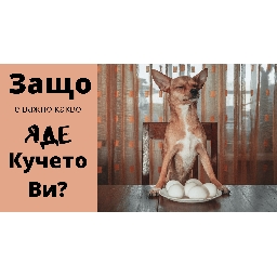 Защо-е-важно-какво-яде-кучето-ви