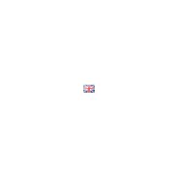 Speaking-Friends-Learn-American-English-Online