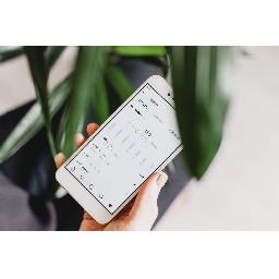 InstaEvil-com-Купи-Instagram-Последователи-от-България