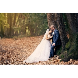 Професионален-Сватбен-Фотограф-Пловдив-Weddingbul