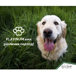 PLATINUM-България