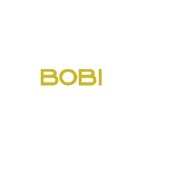 Dj-Bobi-Banerra